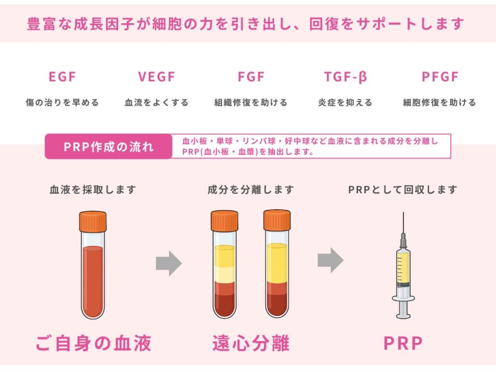 遠心分離機で血液を処理するようす